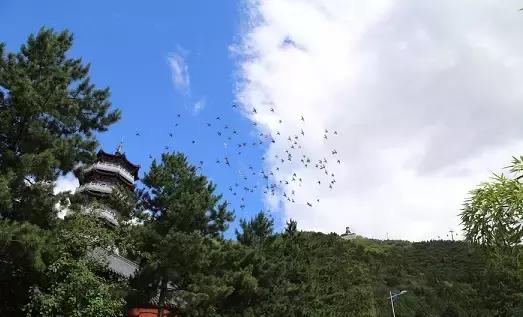 北京很多人不知道的景点,每次去密云感觉找不到啥