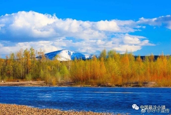 对不起我要去学校了模板,对不起我要去天津了