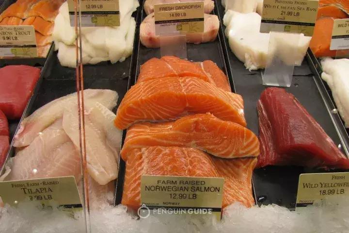 蓝鳍金枪鱼品质鉴别,真假蓝鳍金枪鱼