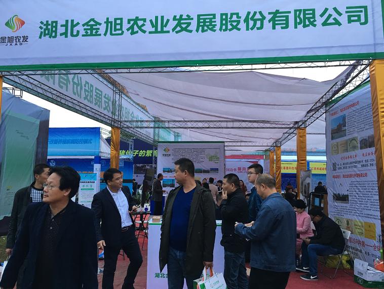 湖北一*猪种**拍出6.8万元——第十七届中国武汉*猪种**拍卖会硕果满枝