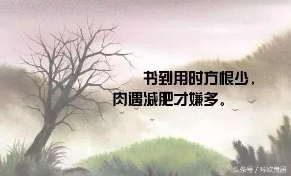海外护照申请在线预约多久放号,中国海外护照办理进度提醒