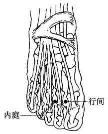 鏂戠鎬庝箞鍒棫,姝ｈ棰堣偐鍒棫鍋ュ悍鍏荤敓