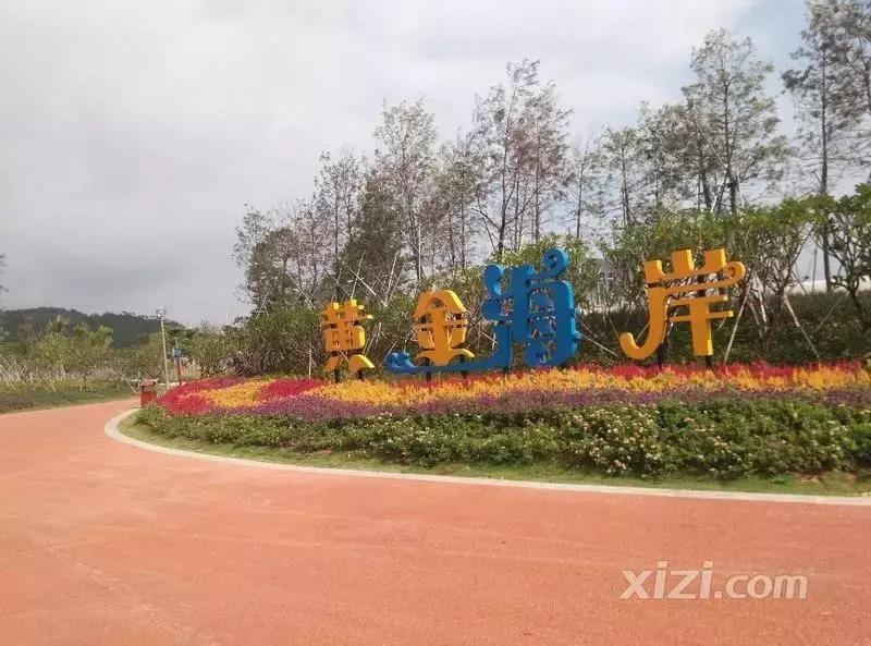 升级黄金海岸,黄金海岸加强版