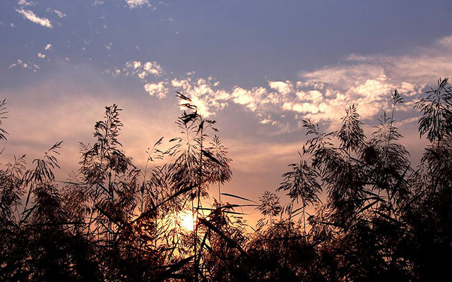 庄子人事篇,庄子人生的根本是如何与自己相处