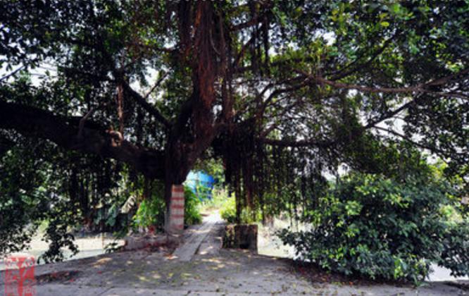 广州市花都区，一个不被广州人认同的区，你们为什么来花都（二）