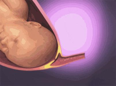 简述分娩过程的四个产程,胎儿分娩的七个步骤衔接