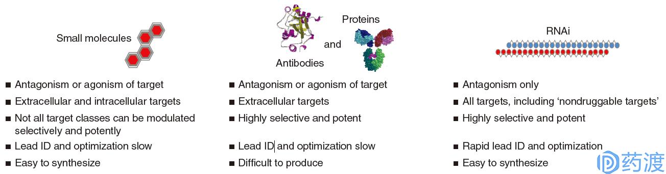 rna药物研发的公司,rna药物和蛋白药物