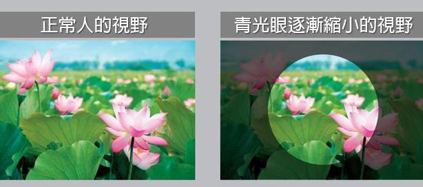 视力1.2算正常吗,视力1.0怎么测