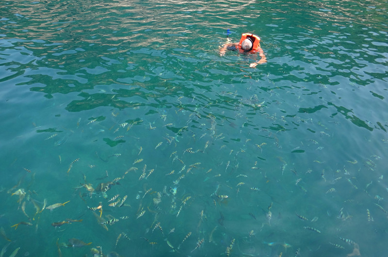 涛岛南园岛浮潜快艇一日游,苏梅涛岛浮潜