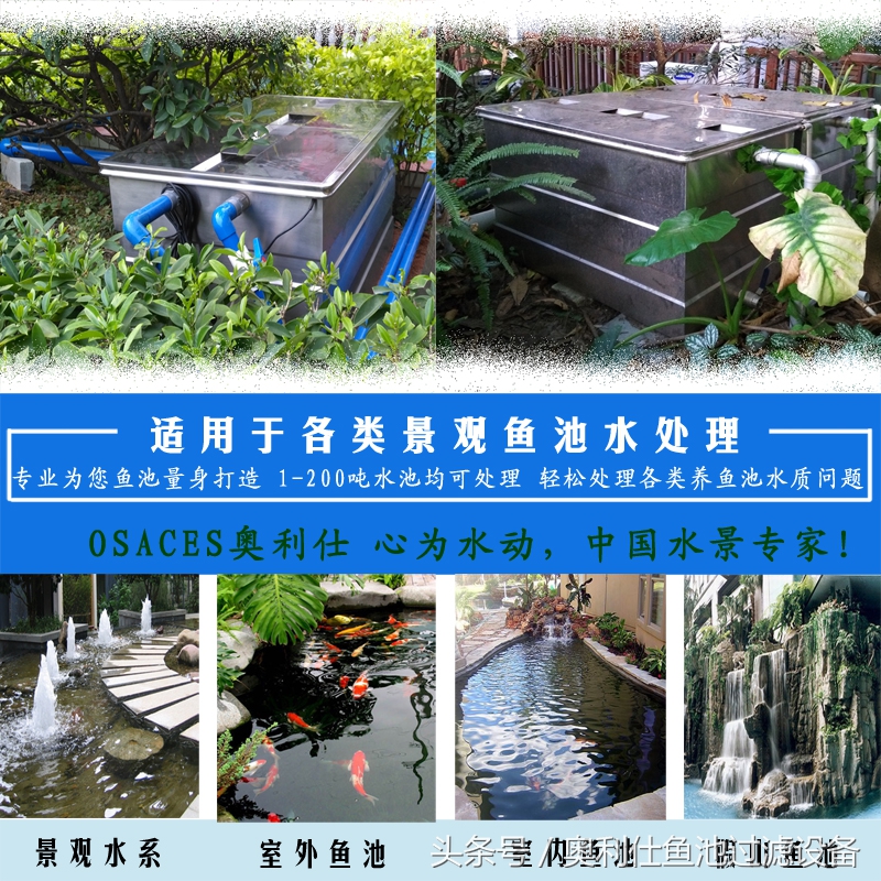 渔夫与美人鱼的故事,美人鱼和小鱼的故事文字