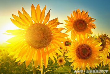 用微笑走出自己的路,用微笑征服一切