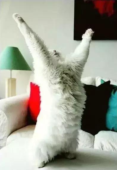 石家庄高中放假时间2022寒假通知,石家庄高校寒假放假最新通告