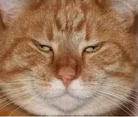 石家庄高中放假时间2022寒假通知,石家庄高校寒假放假最新通告