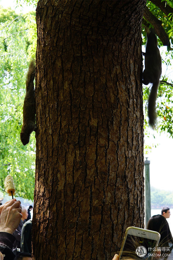 索尼a6000微单使用教程,索尼a6000微单相机新手教程