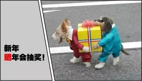 石家庄高中放假时间2022寒假通知,石家庄高校寒假放假最新通告