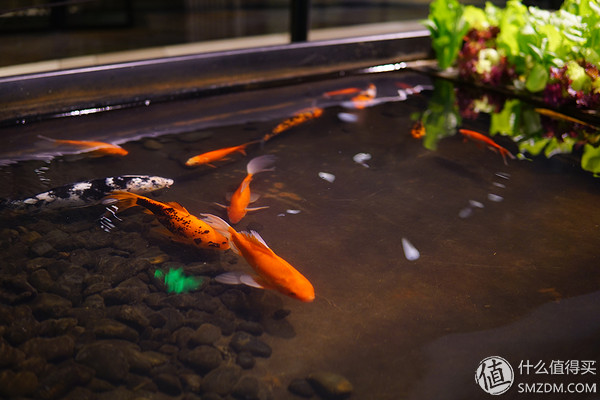 索尼a6000微单使用教程,索尼a6000微单拍摄教程