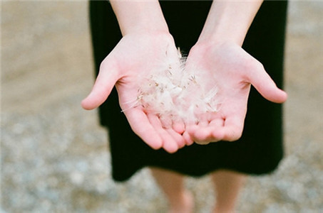 头脑聪明做事快准狠的生肖,秉持真心待人诚信做事的生肖