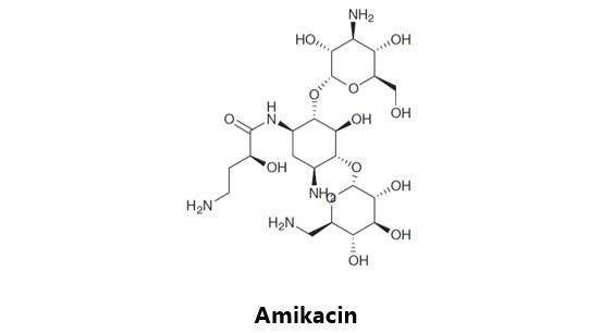 肺结核药物的研发流程,肺结核有可能研发特效药