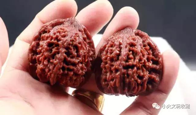 新手玩核桃的十大禁忌,玩核桃的几大境界