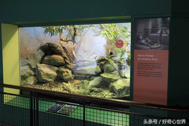 关于哈利波特的旅游地点,与哈利波特有关的景区