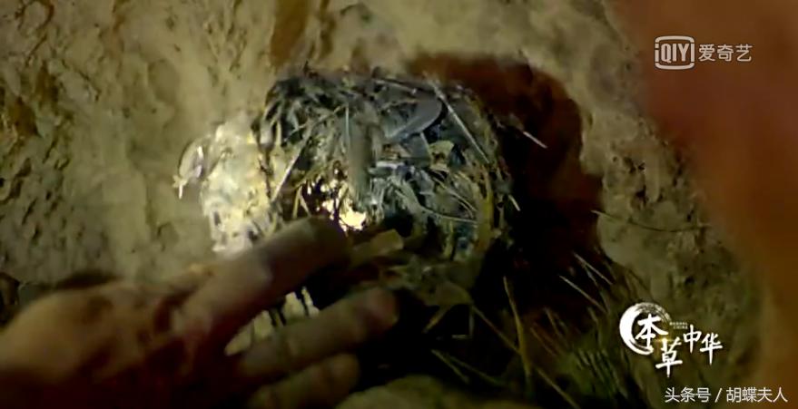 像玫瑰一样的生活？《本草中华.容颜》为你精心打造几款美肤胜品