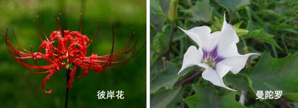 15个冷知识是什么,这15个心理学冷知识91%的人不知道