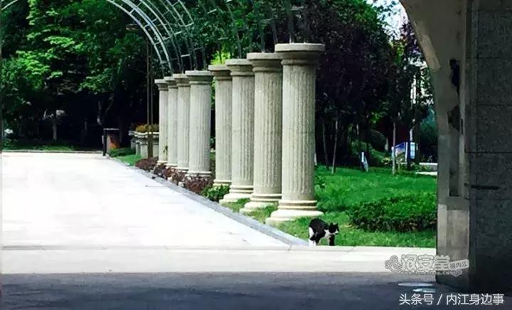 内江近代史遗迹故事,内江故事