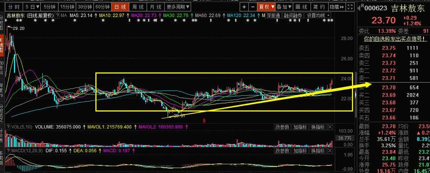 吉林敖东股票最新分析2024,吉林敖东被严重低估的股