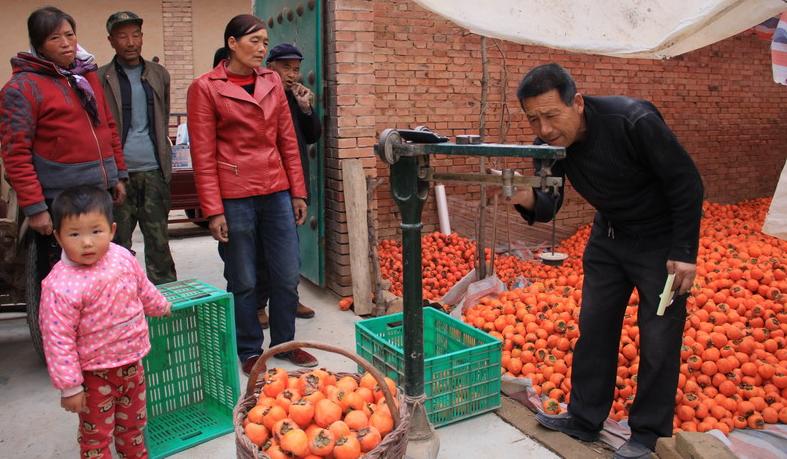 2022年农村养殖创业最好的项目,最靠谱的农村创业项目