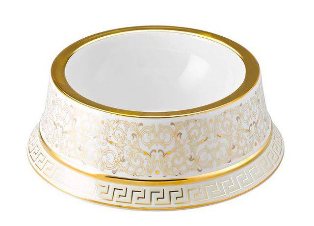 精致猫咪必备品有哪些种类,这几种猫咪养得起的都是土豪