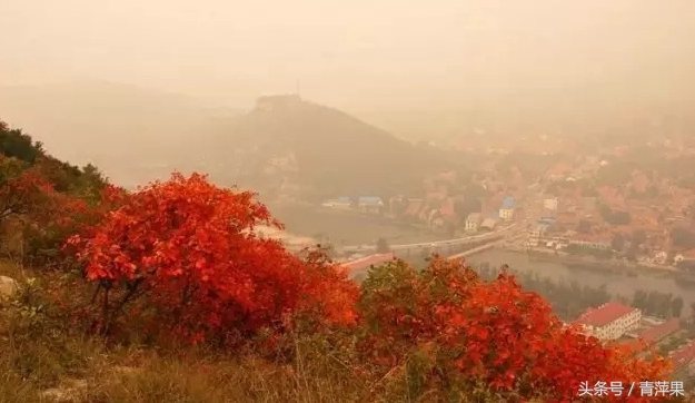 博山红叶柿岩景区免费规定,博山红叶免费地点