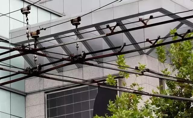 腾龙24-70拍摄效果,一颗镜头