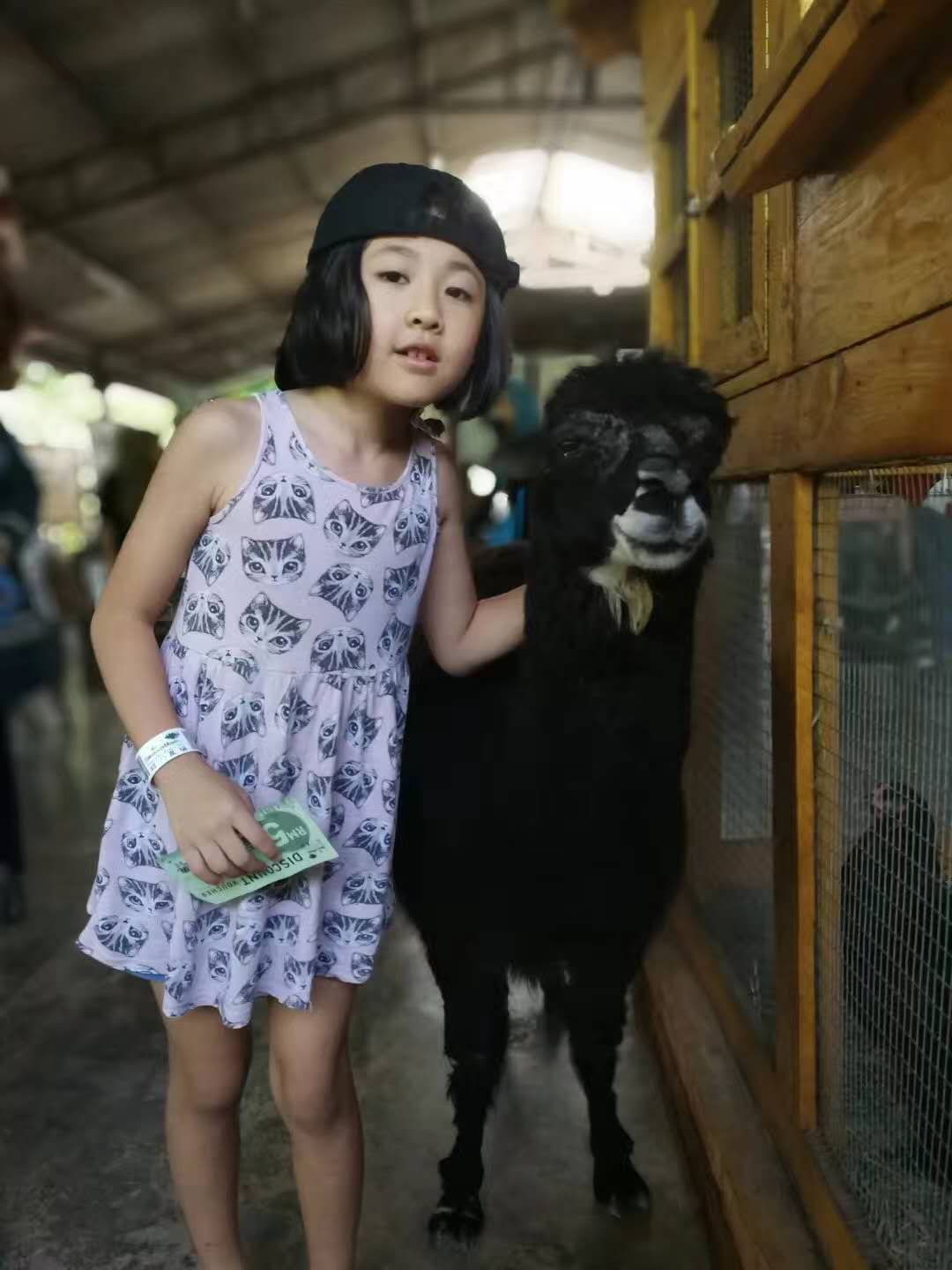 孩子去马来西亚读书攻略,带孩子去马来西亚学英语