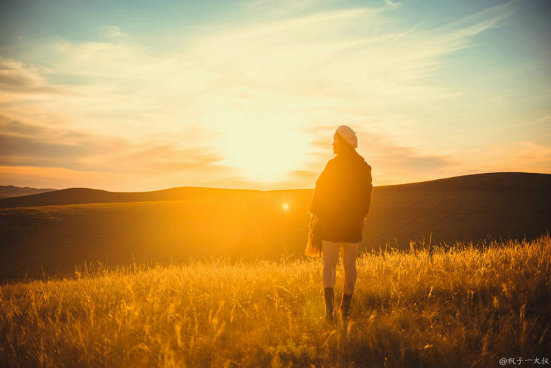 草原金秋美景图片,蓝天白云大草原的美图