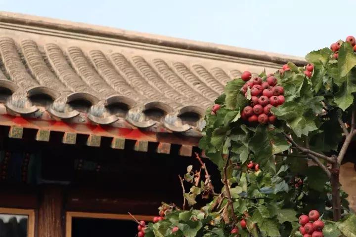 佳能eosm100正式发布,佳能eosm100购买时都带啥