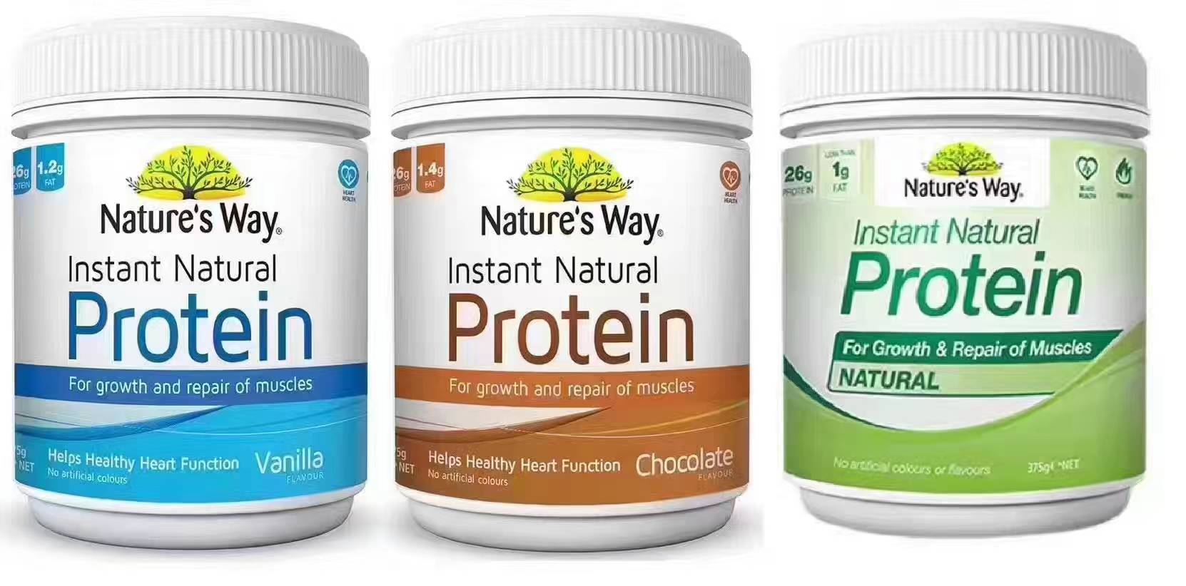 蛋白粉怎样吃才是正确的,蛋粉怎样吃有营养价值