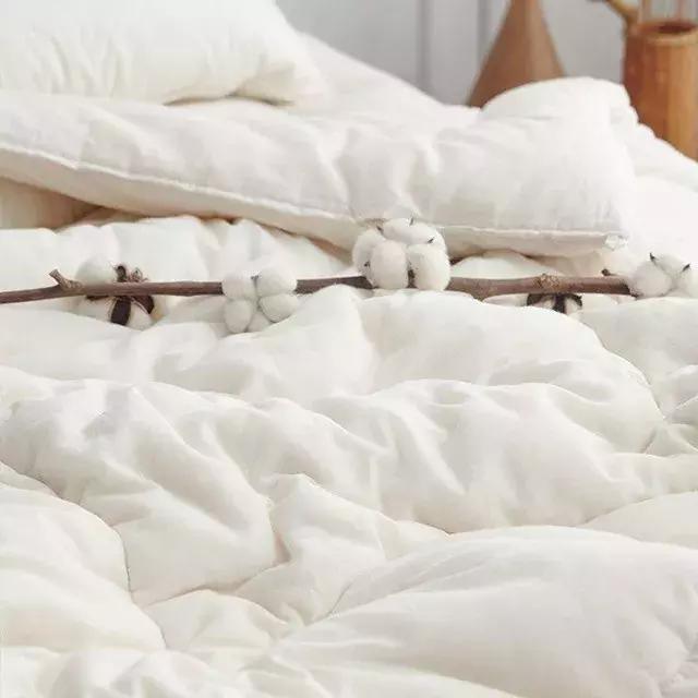 被子怎么选又轻又保暖,冬天被子哪种比较轻保暖还好