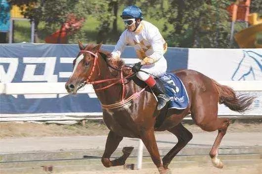 前方一大波高能正在来袭,一大波的好消息蜂拥而至