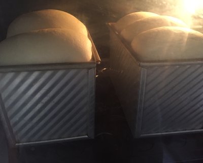 如何拯救失败的面团,如何拯救发酵失败的面团