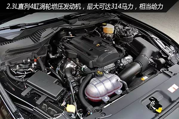 海淘车提幻影黑野马Mustang！必须现车拒绝等待