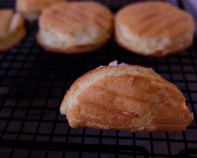 肉松小小贝教学视频,肉松小小贝