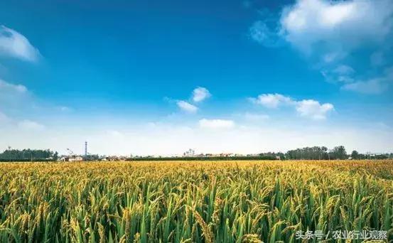 专访|农发贷CEO杨世华:未来农村金融市场前景广阔!