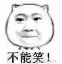 乳酸菌饮料可以减脂,开胃乳酸菌饮品