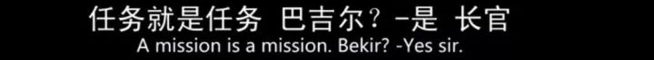 土耳其版战狼叫什么名字,土耳其电影战狼完整版