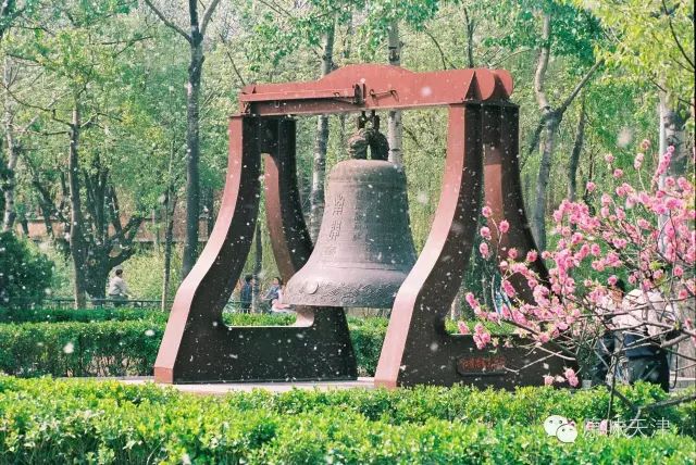 南开大学的优势与缺点,南开大学越来越不好了吗