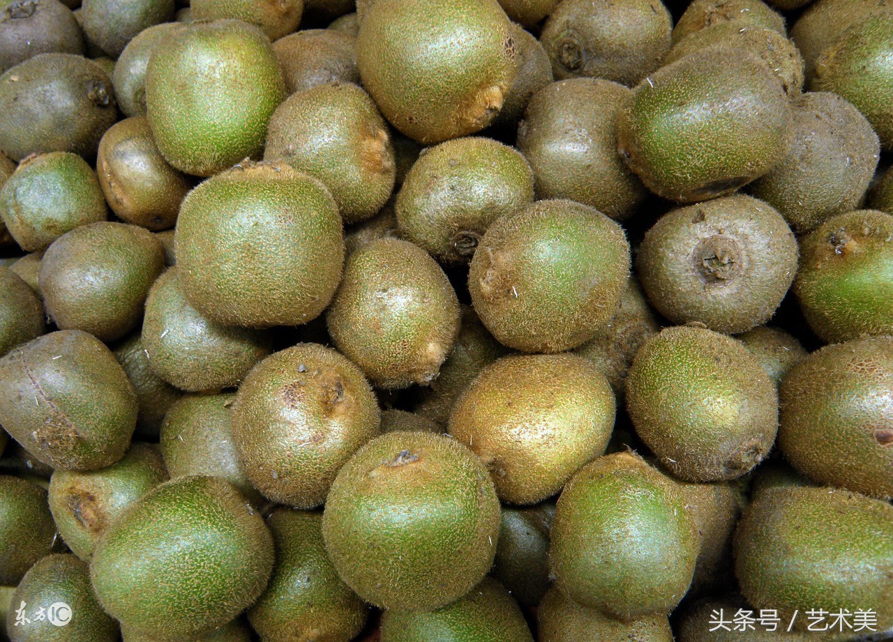 人参果怎么吃法最好吃,人参果怎么吃图解视频教程