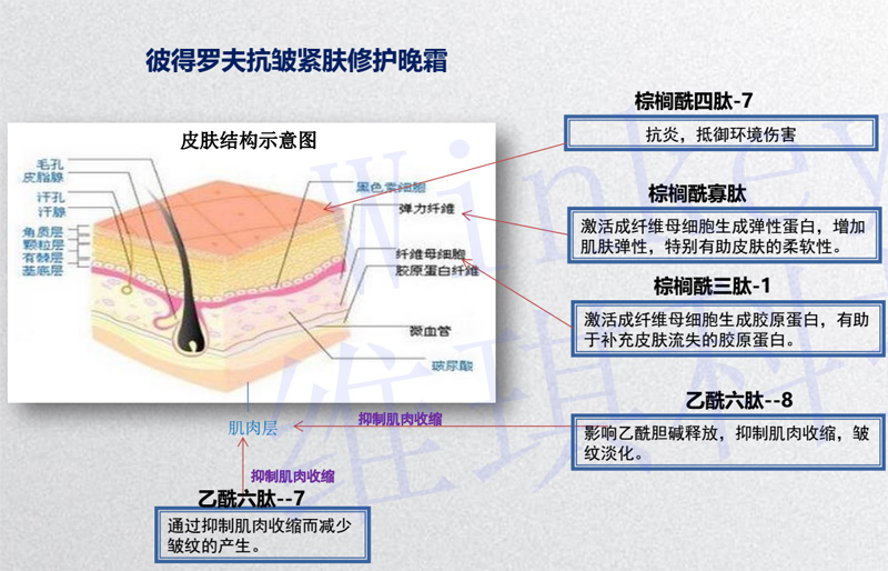 雅诗兰黛旗下一线品牌,雅诗兰黛和lamer哪个品牌好