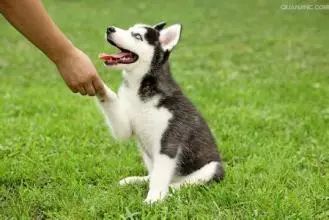 半程马拉松跑步技巧视频,跑半程马拉松如何调整呼吸和步频