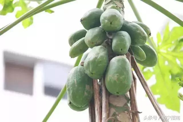 你好南宁纪录片,南宁师范大学介绍