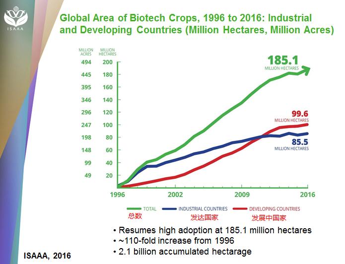 全球最新转基因农作物,全球四大转基因作物包括